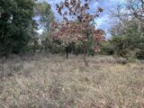 Terrain à bâtir à Grignan (26230) 2208600-812annonce320250207kEiTl.jpeg Maisons France Confort