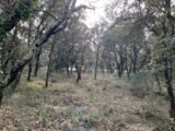 Terrain à bâtir à Grignan (26230) 2208600-812annonce420250207xxPt8.jpeg Maisons France Confort