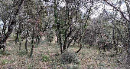 Grignan Terrain à bâtir - 2208600-812annonce520250207SxfZB.jpeg Maisons France Confort
