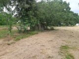 Maison à construire à Pompignan (82170) 2207528-5202annonce220250627CGC6r.jpeg Maisons France Confort