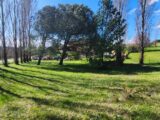 Maison à construire à Blaye-les-Mines (81400) 2206543-11178annonce120250627Zsuf6.jpeg Maisons France Confort