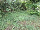 Maison à construire à Lévignac (31530) 2207718-9555annonce120250627OxHeg.jpeg Maisons France Confort