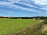 Terrain à bâtir à Saint-Gauzens (81390) 2208380-2684annonce3202506297sSBw.jpeg Maisons France Confort