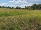 Terrain à bâtir à Cognac (16100) 2208897-11189annonce120250527UXfgf.jpeg Maisons France Confort