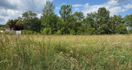 Cognac Maison neuve - 2208901-11189annonce3202505273OoC5.jpeg Maisons France Confort