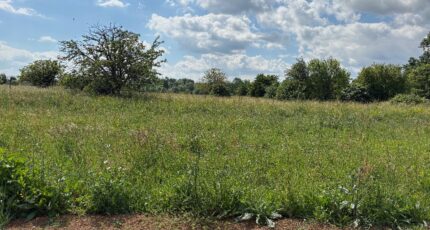 Cognac Maison neuve - 2208909-11189annonce32025052723rky.jpeg Maisons France Confort