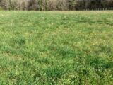 Maison à construire à Saintes (17100) 2209103-10974annonce120250627l6ikZ.jpeg Maisons France Confort