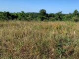 Terrain à bâtir à Bouliac (33270) 2209179-11383annonce120250630GIudX.jpeg Maisons France Confort