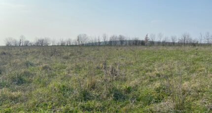 Segonzac Maison neuve - 2209263-11189annonce320250408PtH8t.jpeg Maisons France Confort