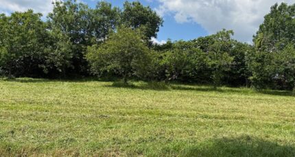 Lonzac Maison neuve - 2209420-11189annonce220250630oPXxk.jpeg Maisons France Confort