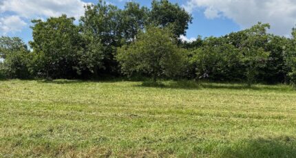 Lonzac Maison neuve - 2209420-11189annonce320250630dVMue.jpeg Maisons France Confort