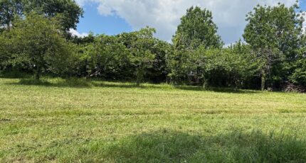Lonzac Maison neuve - 2209420-11189annonce420250630lhT7p.jpeg Maisons France Confort