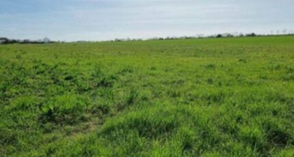 La Rochelle Terrain à bâtir - 2207522-10171annonce120250627Kmvhe.jpeg Maisons France Confort
