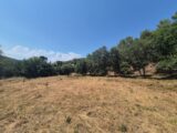 Terrain à bâtir à Taradeau (83460) 2209655-10152annonce1202506303rhT1.jpeg Maisons France Confort