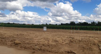 Fronton Terrain à bâtir - 2145768-5202annonce220250430fqKgU.jpeg Maisons France Confort