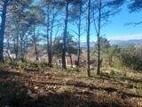 Terrain à bâtir à Rocbaron (83136) 2155294-11137annonce320250116OHzEp.jpeg Maisons France Confort