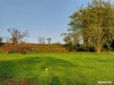 Terrain à bâtir à Octon (34800) 2172124-10896annonce120250530npZkL.jpeg Maisons France Confort