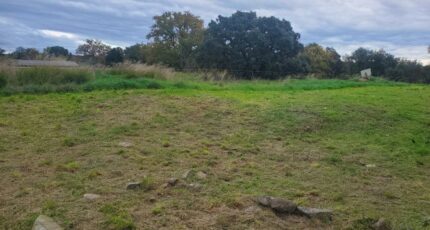 Pézenas Terrain à bâtir - 2121611-10896annonce320250331xGlxe.jpeg Maisons France Confort