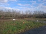 Terrain à bâtir à Vaux-sur-Mer (17640) 2174517-11291annonce120250617SpmaF.jpeg Maisons France Confort