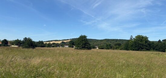 Terrain à bâtir à Buzet-sur-Tarn, Occitanie