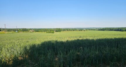 Birac Terrain à bâtir - 2178433-11284annonce120250618GvBwy.jpeg Maisons France Confort