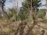 Terrain à bâtir à Saubens (31600) 2183979-6043annonce420250606GhEL9.jpeg Maisons France Confort
