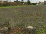 Terrain à bâtir à Brie (16590) 2187660-11045annonce420250115FsoGB.jpeg Maisons France Confort