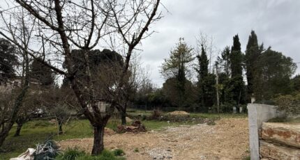 Montauroux Terrain à bâtir - 2187784-6013annonce2202506119dnqn.jpeg Maisons France Confort