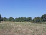 Terrain à bâtir à Callian (83440) 2187827-6013annonce120250611l50t0.jpeg Maisons France Confort