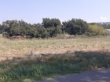 Terrain à bâtir à Callian (83440) 2187827-6013annonce220250611ZNFGs.jpeg Maisons France Confort