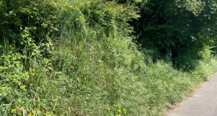 Feyzin Terrain à bâtir - 2148919-11317annonce320250505IrM0T.jpeg Maisons France Confort
