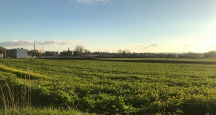 Mazingarbe Terrain à bâtir - 2189507-5804annonce220250612fvbex.jpeg Maisons France Confort