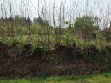 Maison à construire à La Milesse (72650) 2194001-6170annonce120250616GHesV.jpeg Maisons France Confort