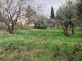 Maison à construire à Flayosc (83780) 2197559-11157annonce12025061975xMr.jpeg Maisons France Confort