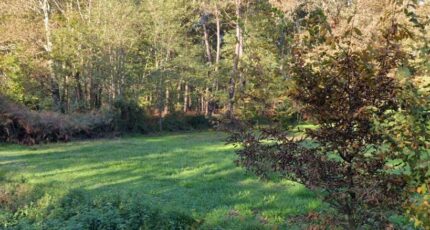 Bazas Terrain à bâtir - 2202975-11284annonce120250624NToLA.jpeg Maisons France Confort