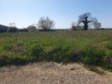 Terrain à bâtir à Saint-Gervais (33240) 2208063-11015annonce120250628NduMa.jpeg Maisons France Confort