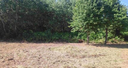 Nouan-le-Fuzelier Terrain à bâtir - 2208037-11551annonce220250628wwr9H.jpeg Maisons France Confort