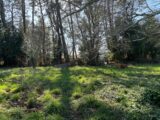Terrain à bâtir à Le Porge (33680) 2209865-11276annonce120250701RWpTk.jpeg Maisons France Confort