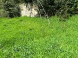 Maison neuve à Lanton (33138) 2209856-11276annonce120250701A9Xc6.jpeg Maisons France Confort