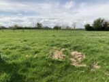 Maison à construire à Monchy-le-Preux (62118) 2209680-5719annonce120250630xeTto.jpeg Maisons France Confort