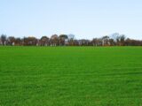 Terrain à bâtir à Camaret-sur-Aigues (84850) 2210422-616annonce120250701kv4Nx.jpeg Maisons France Confort