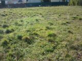 Terrain à bâtir à Trausse (11160) 2210740-10986annonce120250701np38F.jpeg Maisons France Confort