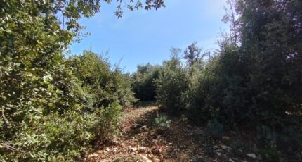 Ucel Terrain à bâtir - 2209756-5100annonce120250701gMGGJ.jpeg Maisons France Confort