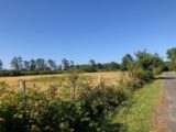 Terrain à bâtir à Lanton (33138) 2209948-1090annonce120250701oG0Gz.jpeg Maisons France Confort