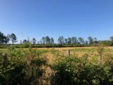 Terrain à bâtir à Lanton (33138) 2209948-1090annonce220250701gBdQ6.jpeg Maisons France Confort