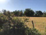 Terrain à bâtir à Lanton (33138) 2209948-1090annonce320250701gqkr7.jpeg Maisons France Confort