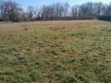Terrain à bâtir à Sanguinet (40460) 2210224-1686annonce120250701uBsez.jpeg Maisons France Confort