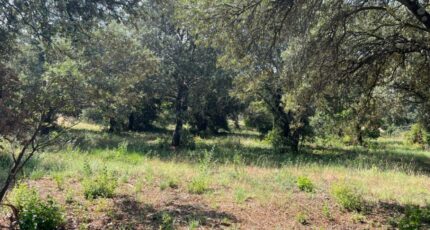 La Baume-de-Transit Terrain à bâtir - 2208008-6150annonce320250627sQzWF.jpeg Maisons France Confort