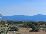Terrain à bâtir à Perpignan (66000) 2211033-4671annonce120250702cqSS9.jpeg Maisons France Confort