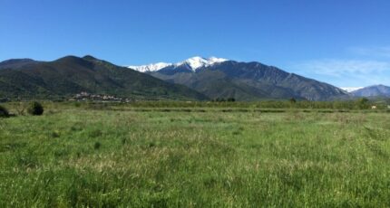 Rigarda Maison neuve - 2211015-4671annonce120250702Q53Tp.jpeg Maisons France Confort
